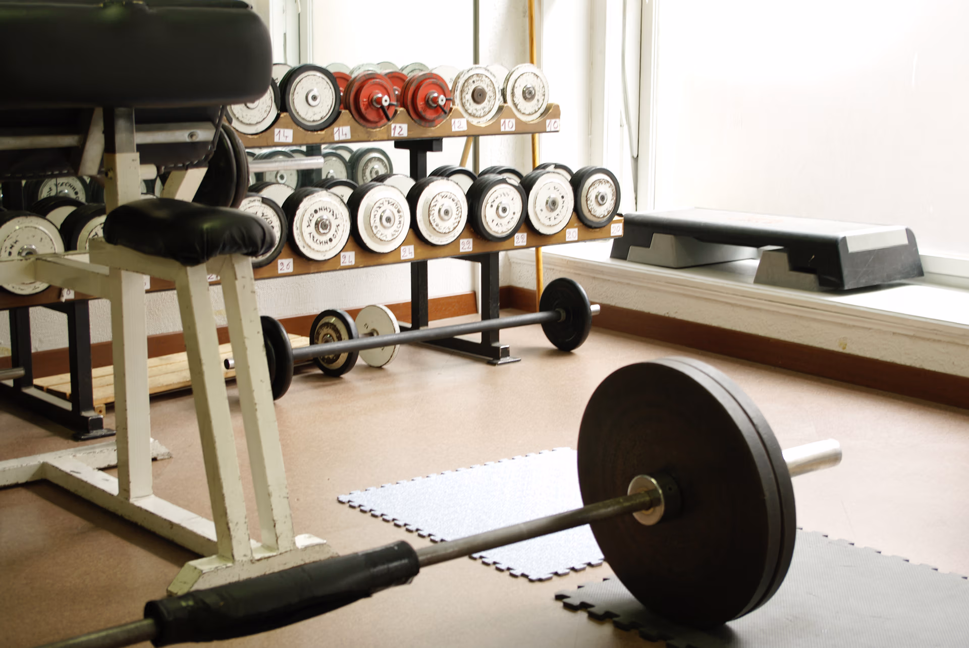 Corner of a gym with a rack of dumbbells in the background and barbells in the foreground. Health and Fitness Sundance, Calgary